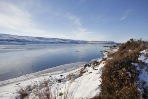 ponden res haworth moor december 6 2010 beached 1 sm.jpg